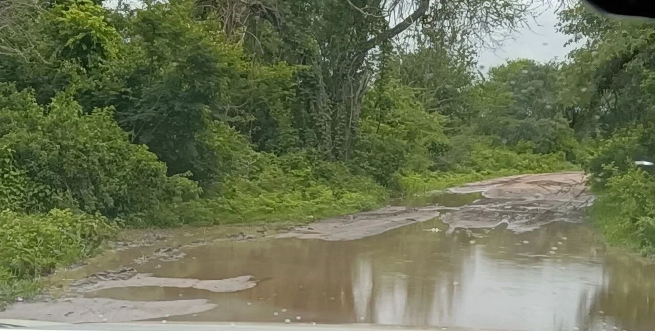 汛情告急-暴雨围城 (汛情是啥意思) 汛情告急-暴雨围城 (汛情是啥意思)